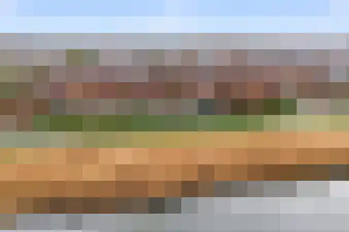 Twistvlietpad 21 Zwolle thumbnail 48