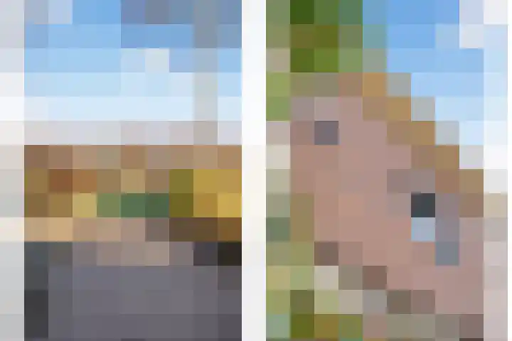 Twistvlietpad 21 Zwolle thumbnail 5