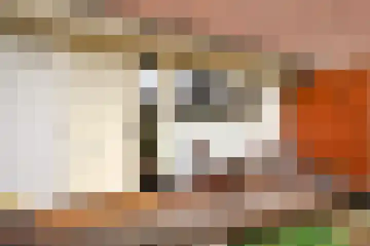 Twistvlietpad 21 Zwolle thumbnail 7