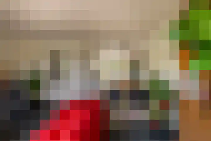 Twistvlietpad 47 Zwolle thumbnail 11