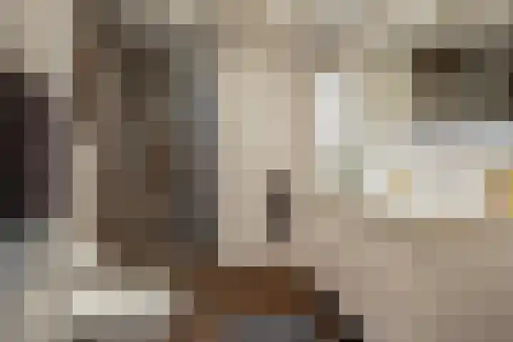 Twistvlietpad 47 Zwolle thumbnail 15