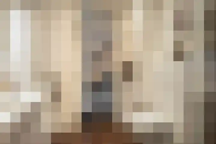 Twistvlietpad 47 Zwolle thumbnail 16