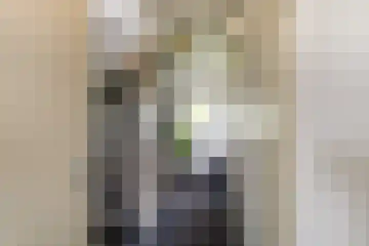 Twistvlietpad 47 Zwolle thumbnail 17