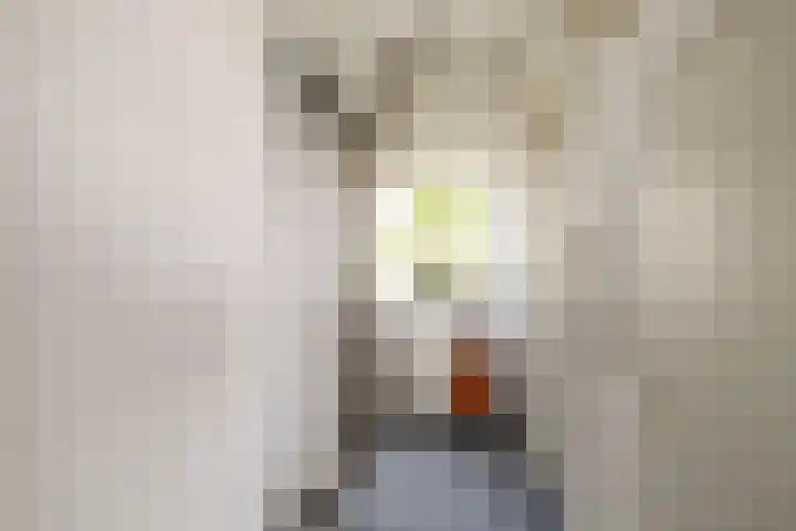 Twistvlietpad 47 Zwolle thumbnail 22
