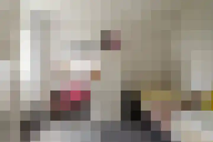 Twistvlietpad 47 Zwolle thumbnail 27