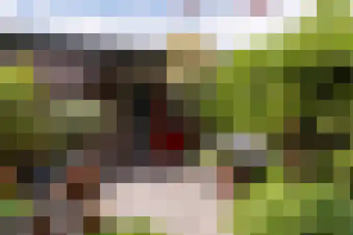 Twistvlietpad 47 Zwolle thumbnail 29