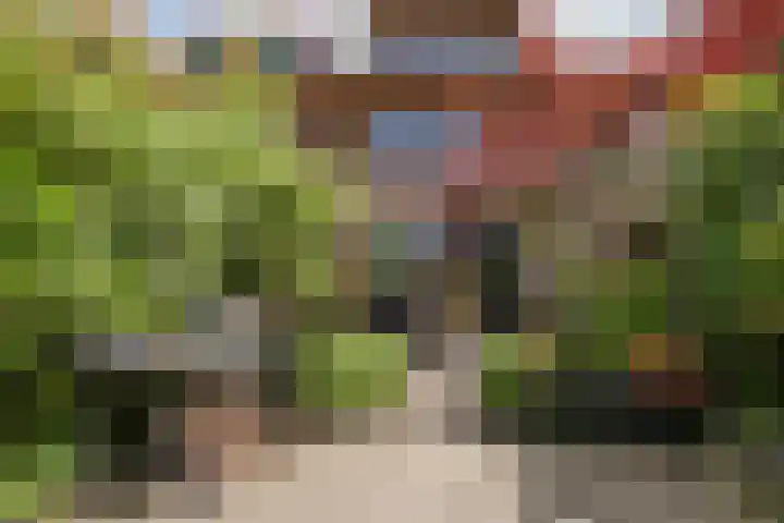 Twistvlietpad 47 Zwolle thumbnail 30