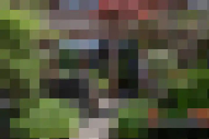 Twistvlietpad 47 Zwolle thumbnail 31