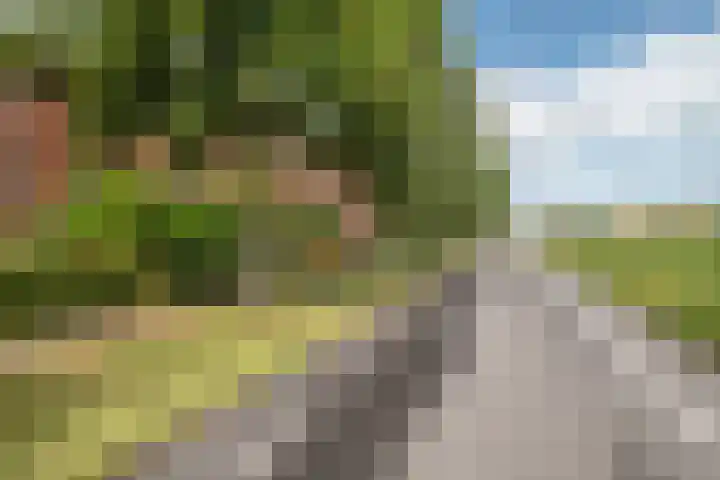 Twistvlietpad 47 Zwolle thumbnail 34