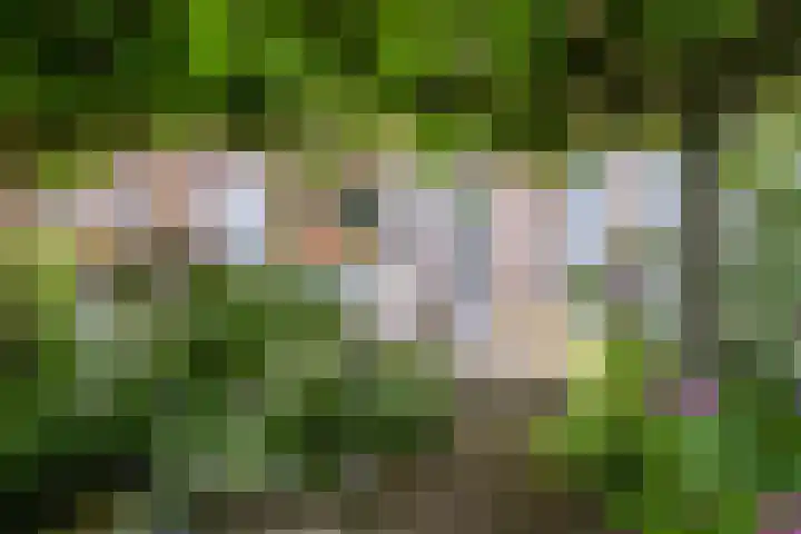 Twistvlietpad 47 Zwolle thumbnail 4