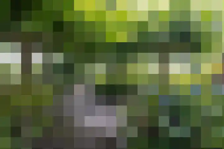 Twistvlietpad 47 Zwolle thumbnail 5