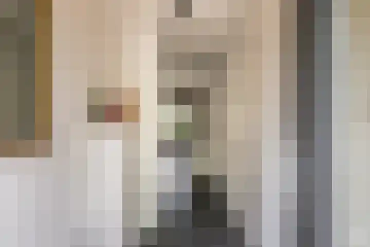 Twistvlietpad 47 Zwolle thumbnail 6