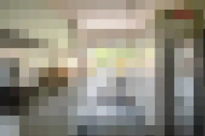 Twistvlietpad 47 Zwolle thumbnail 9