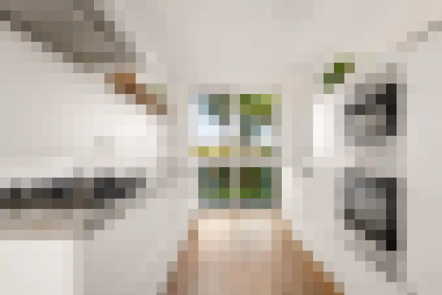 Twistvlietpad 63 Zwolle thumbnail 18