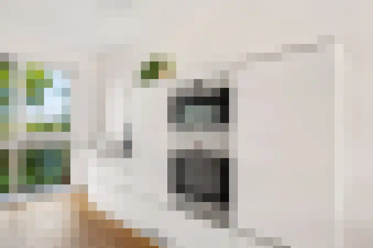 Twistvlietpad 63 Zwolle thumbnail 20