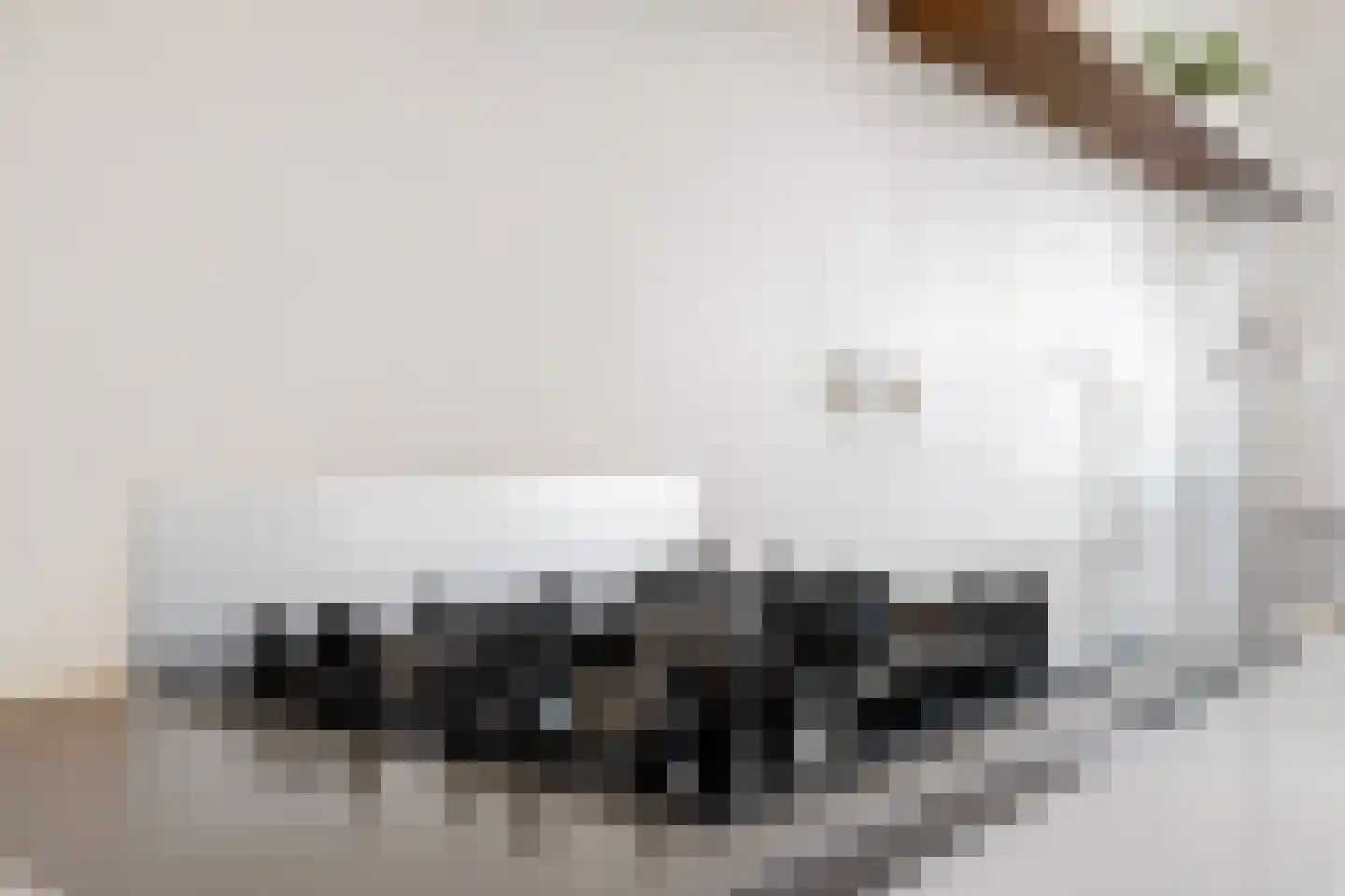 Twistvlietpad 63 Zwolle thumbnail 21