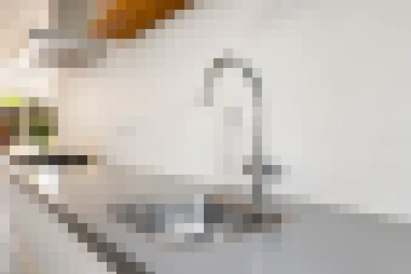 Twistvlietpad 63 Zwolle thumbnail 22