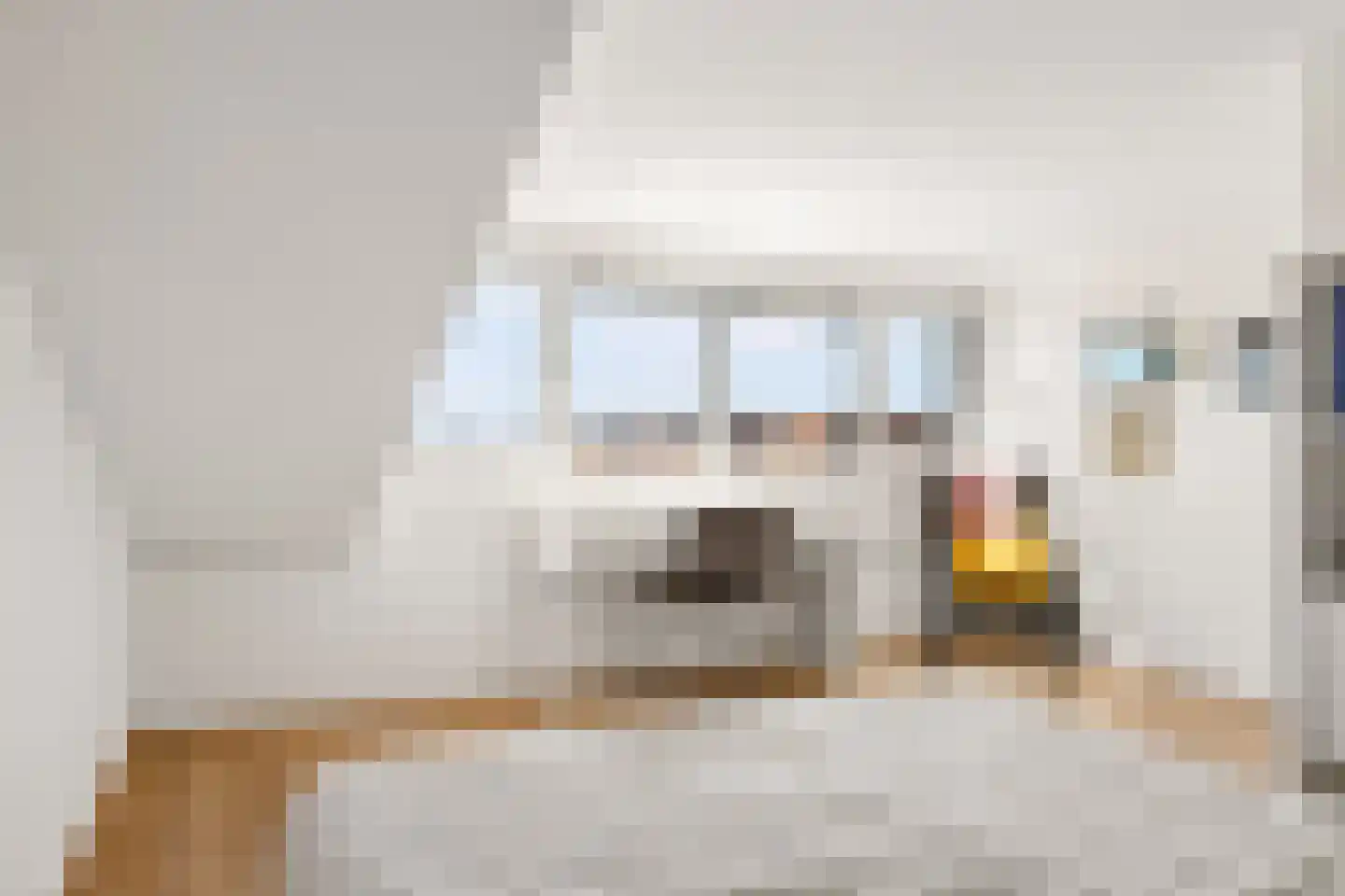 Twistvlietpad 63 Zwolle thumbnail 34