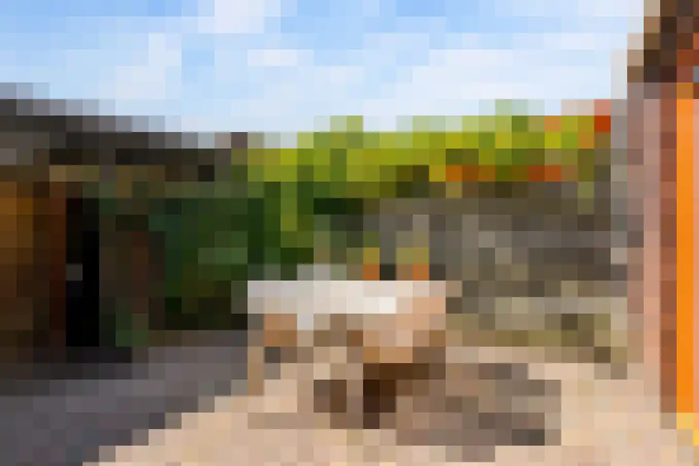 Twistvlietpad 63 Zwolle thumbnail 39