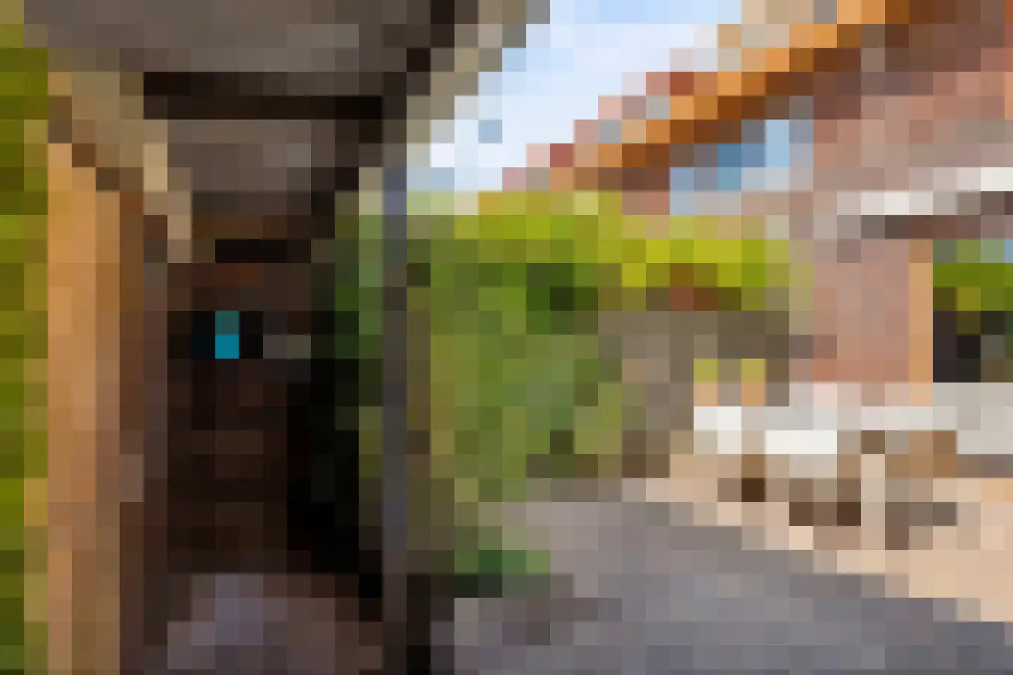Twistvlietpad 63 Zwolle thumbnail 41