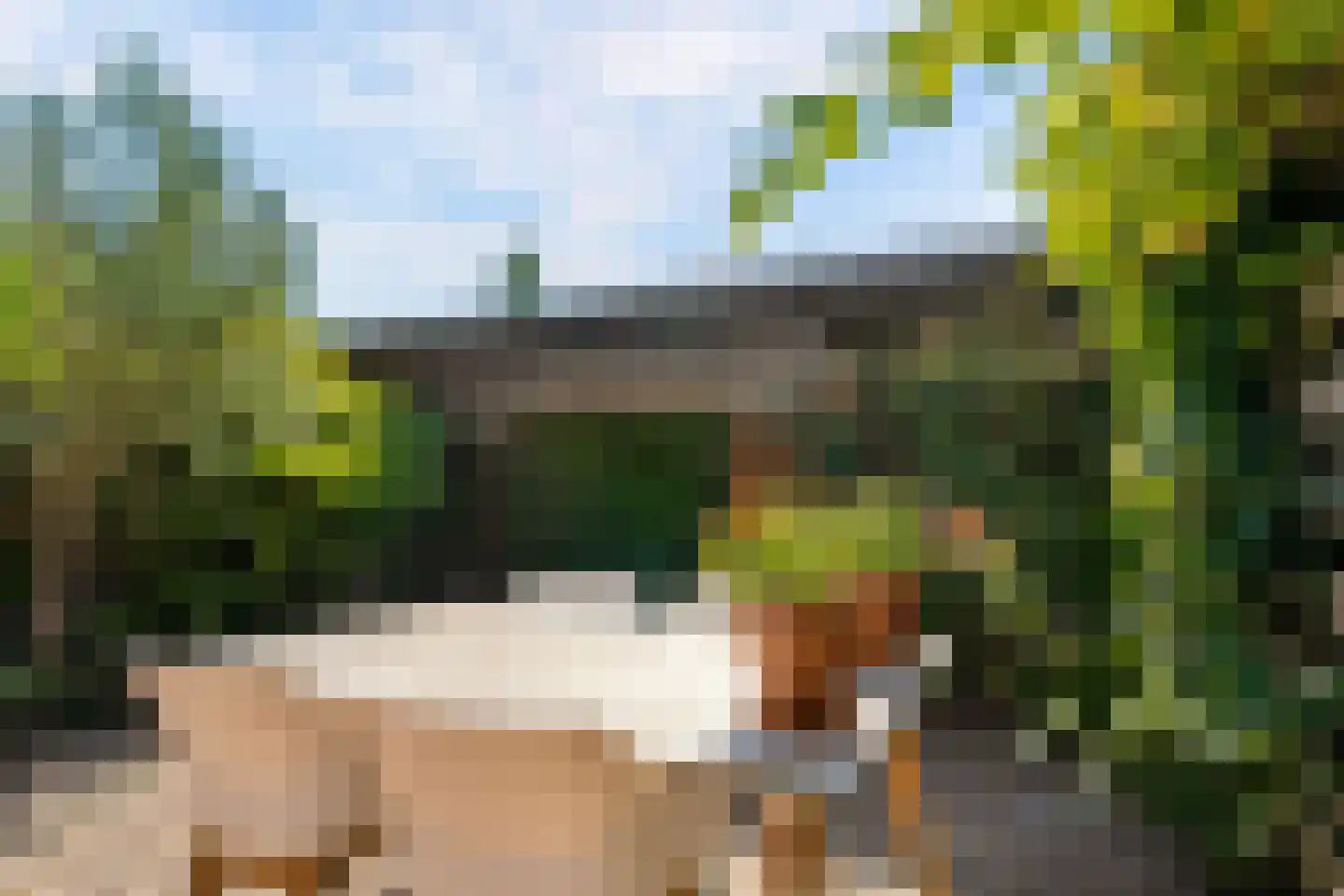 Twistvlietpad 63 Zwolle thumbnail 43