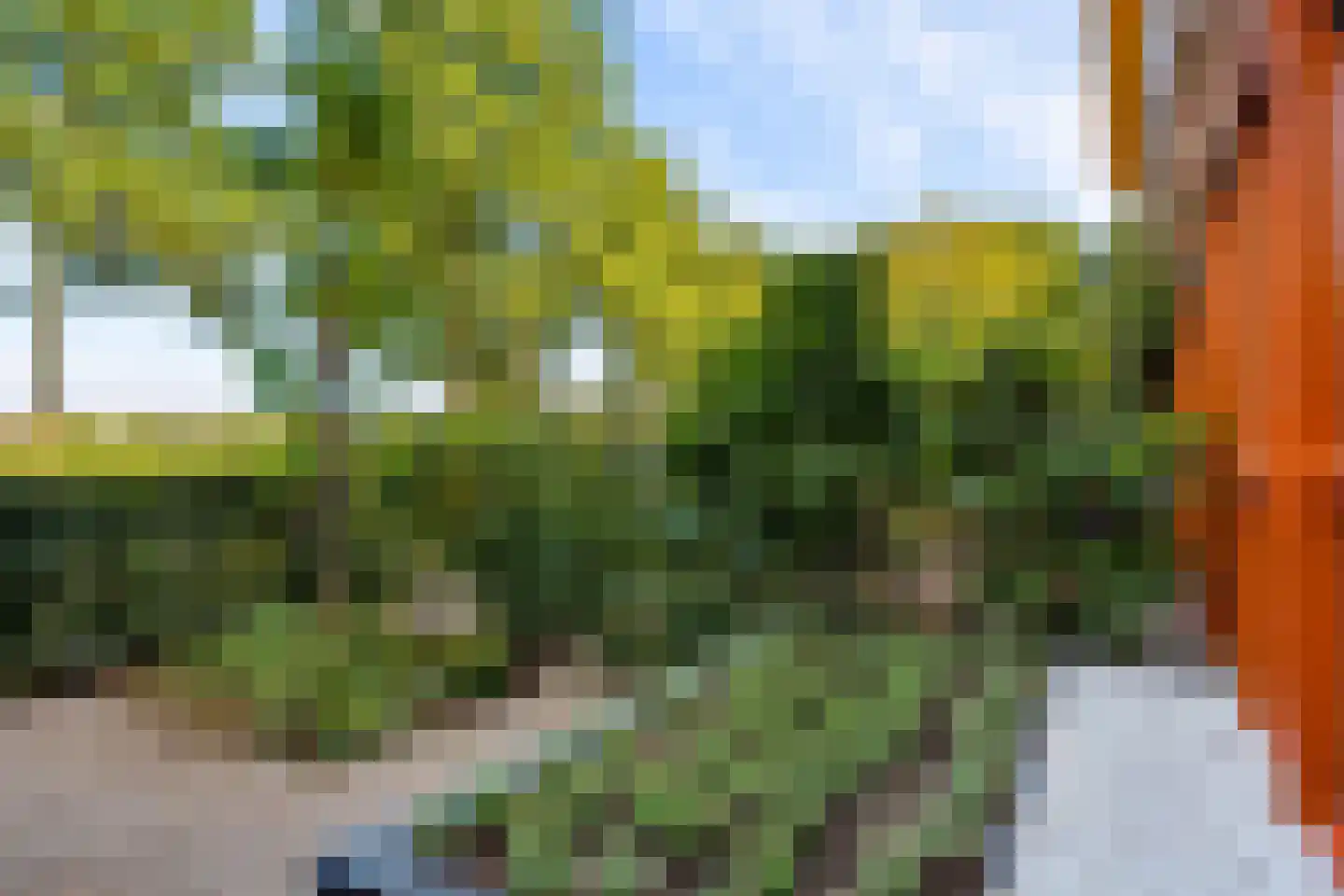 Twistvlietpad 63 Zwolle thumbnail 49