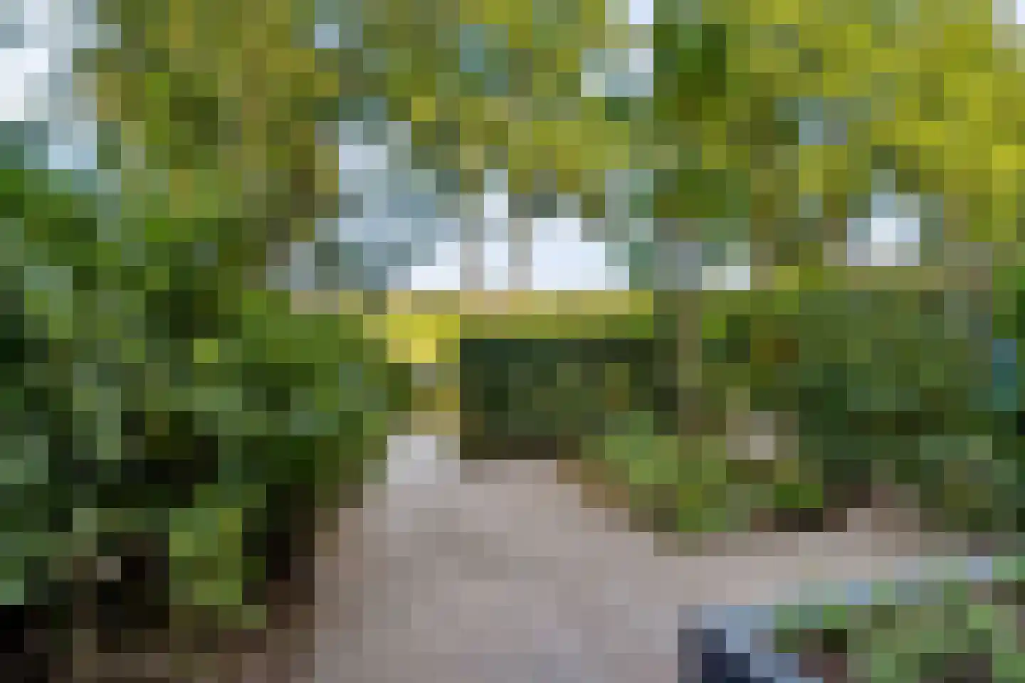 Twistvlietpad 63 Zwolle thumbnail 50