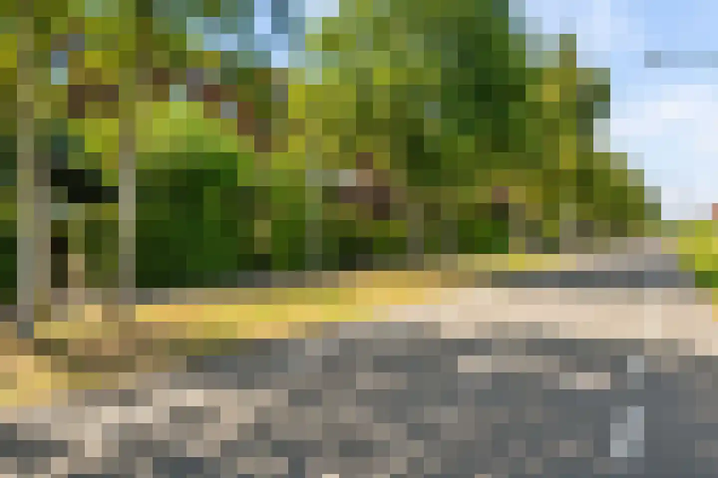 Twistvlietpad 63 Zwolle thumbnail 51