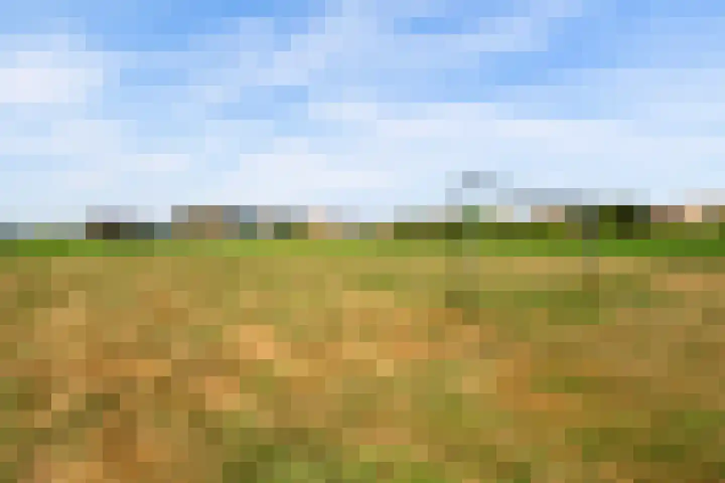 Twistvlietpad 63 Zwolle thumbnail 54