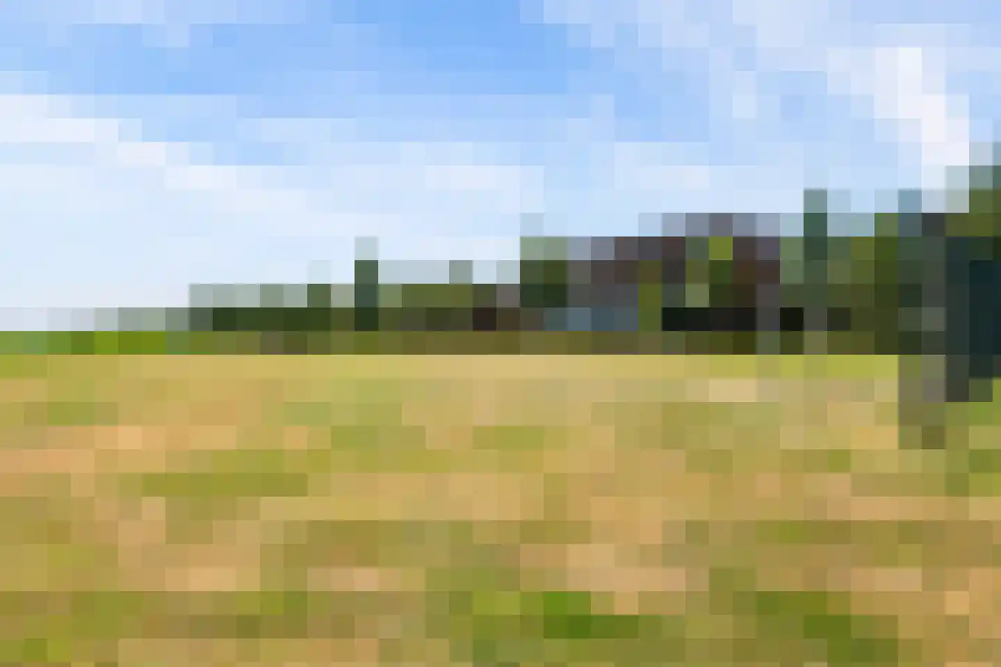 Twistvlietpad 63 Zwolle thumbnail 55
