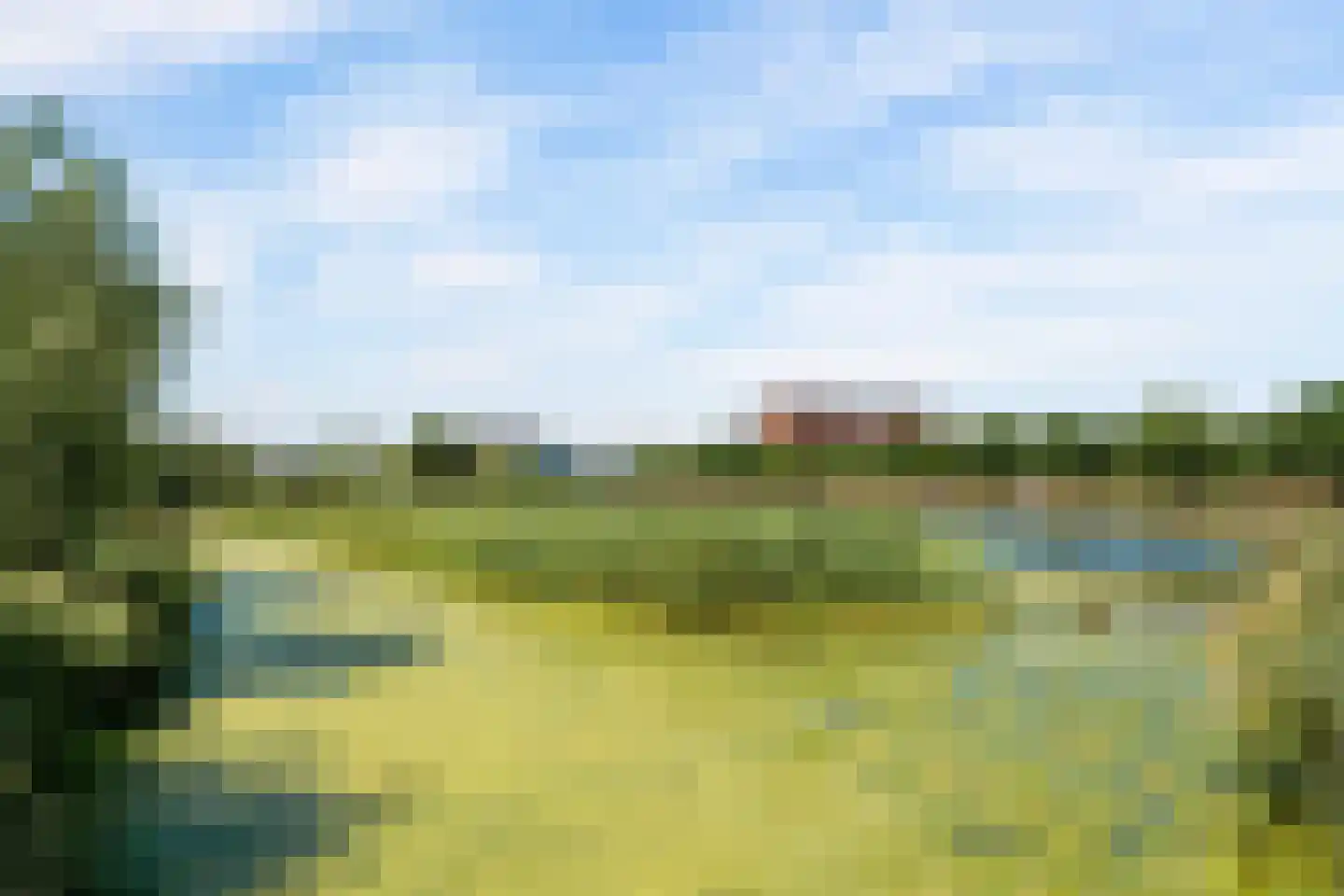 Twistvlietpad 63 Zwolle thumbnail 56