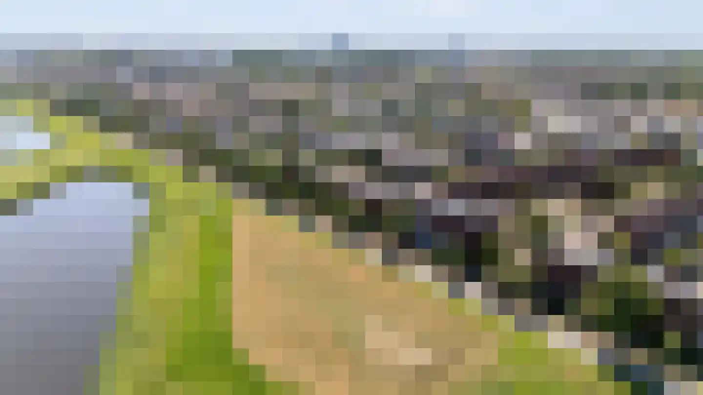 Twistvlietpad 63 Zwolle thumbnail 60