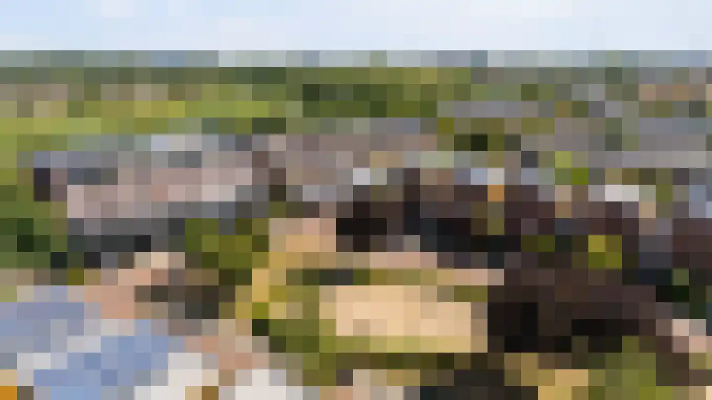 Twistvlietpad 63 Zwolle thumbnail 61