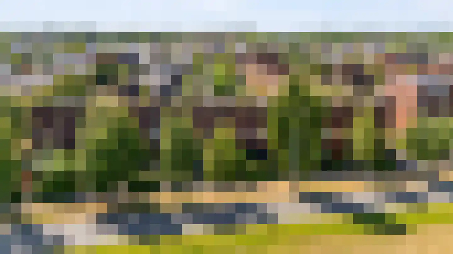 Twistvlietpad 63 Zwolle thumbnail 63