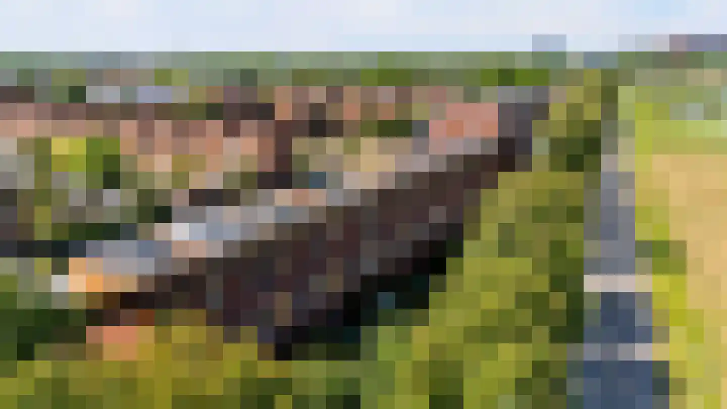Twistvlietpad 63 Zwolle thumbnail 66