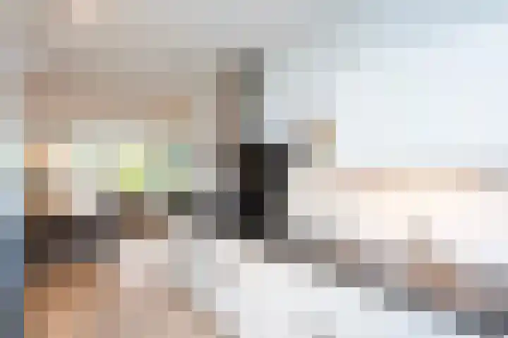 Twistvlietpad 77 Zwolle thumbnail 10