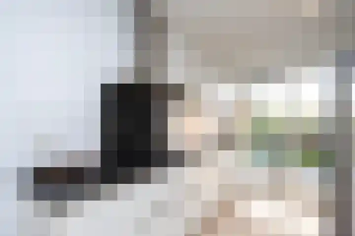 Twistvlietpad 77 Zwolle thumbnail 11