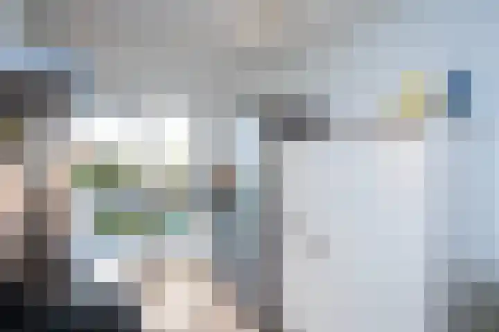 Twistvlietpad 77 Zwolle thumbnail 12