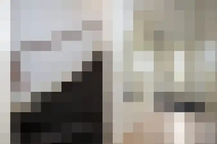 Twistvlietpad 77 Zwolle thumbnail 14