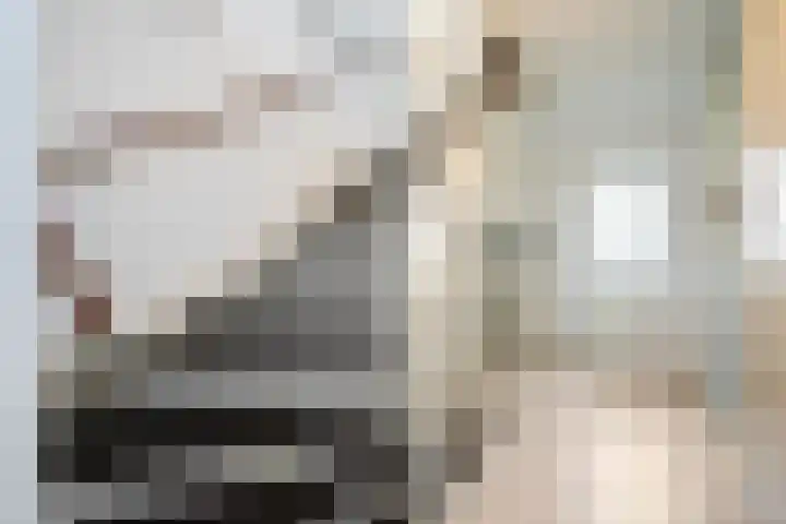 Twistvlietpad 77 Zwolle thumbnail 15