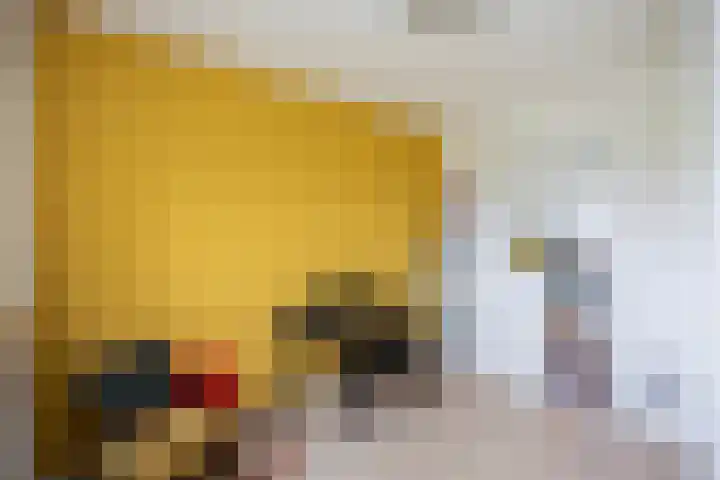 Twistvlietpad 77 Zwolle thumbnail 16