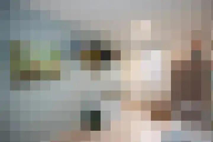 Twistvlietpad 77 Zwolle thumbnail 20