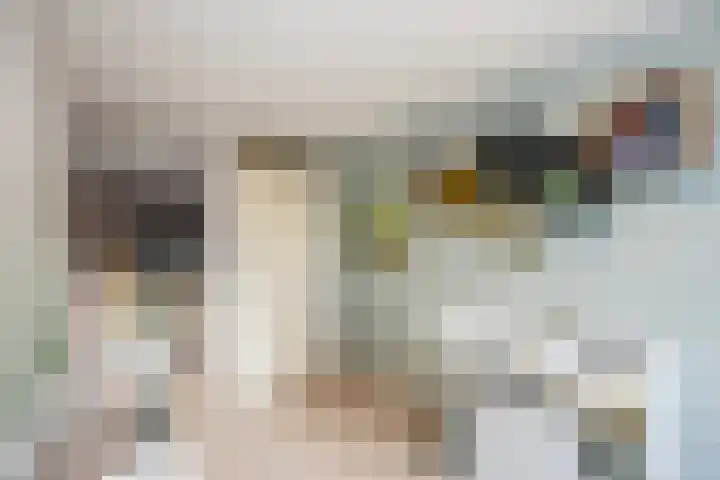 Twistvlietpad 77 Zwolle thumbnail 21