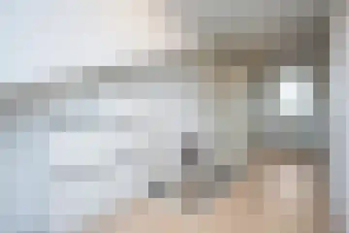 Twistvlietpad 77 Zwolle thumbnail 23