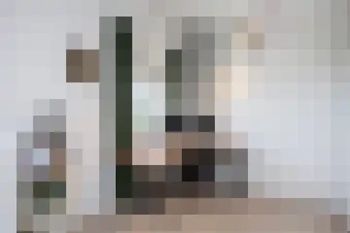 Twistvlietpad 77 Zwolle thumbnail 25