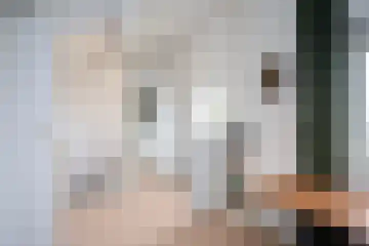 Twistvlietpad 77 Zwolle thumbnail 26