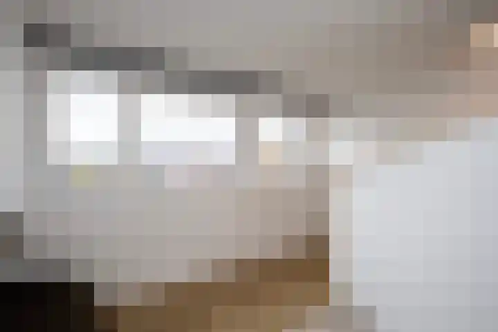 Twistvlietpad 77 Zwolle thumbnail 28