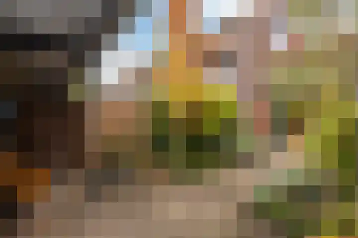 Twistvlietpad 77 Zwolle thumbnail 29