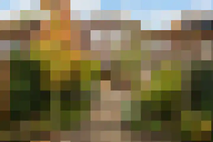 Twistvlietpad 77 Zwolle thumbnail 30