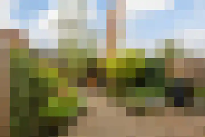 Twistvlietpad 77 Zwolle thumbnail 31